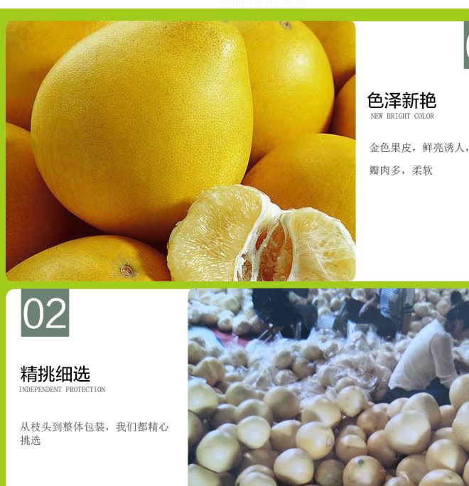 批發(fā)新品種巨型天皇蜜柚 白柚 白肉柚子 產(chǎn)地直銷 生鮮水果示例圖6