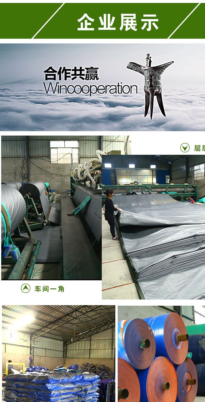 廠家供應防水PVC刀瓜布 防曬PVC刀刮布  環保PVC刀刮布示例圖10