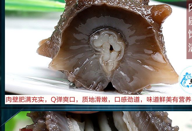 魚秀才批發(fā)海參 冷凍海鮮海參 凍干海參廠家直供 保質保量示例圖5