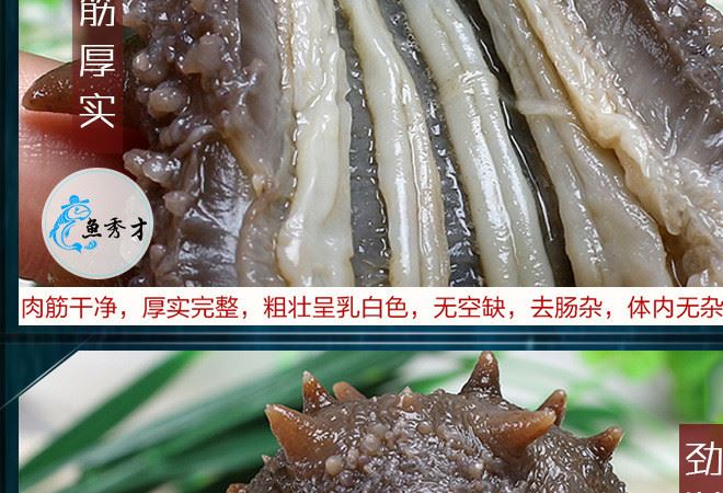 魚秀才批發(fā)海參 冷凍海鮮海參 凍干海參廠家直供 保質保量示例圖6