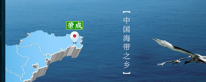 魚秀才海產(chǎn)品鹽漬海帶批發(fā) 威海海鮮海帶頭廠家直銷 海帶批發(fā)示例圖13