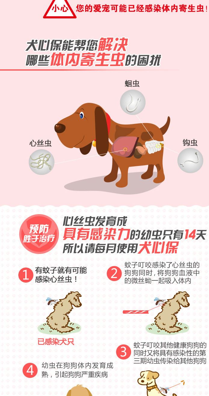 福萊恩犬心保 中型犬狗狗體內(nèi)驅(qū)蟲藥 打蟲藥心絲蟲蛔蟲驅(qū)蟲片整盒示例圖2