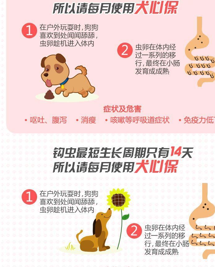 福萊恩犬心保 中型犬狗狗體內(nèi)驅(qū)蟲藥 打蟲藥心絲蟲蛔蟲驅(qū)蟲片整盒示例圖3