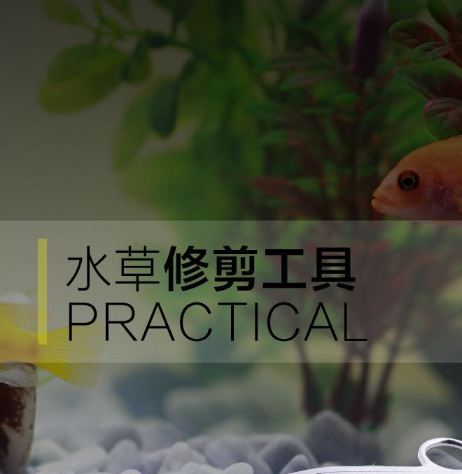 不銹鋼波浪水草剪 水族器材工具 水草波浪剪 水草專用彎剪示例圖7