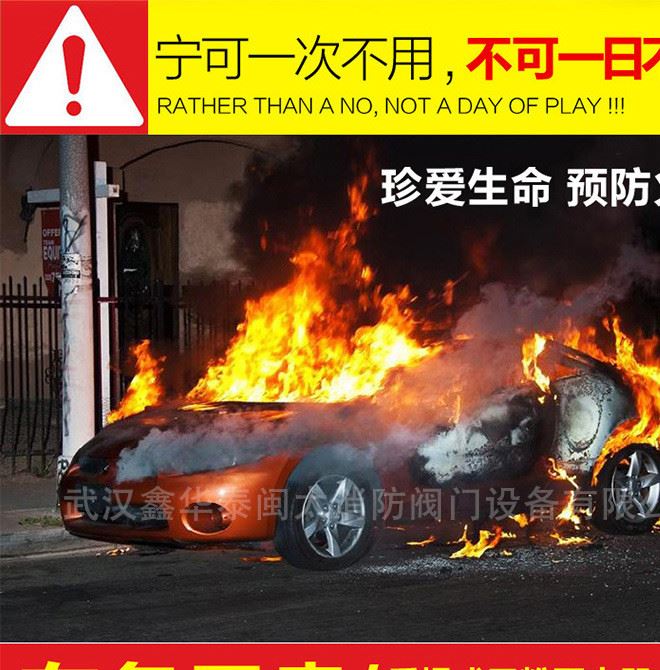 消防器材 家用廠房用干粉滅火器 手提滅火器示例圖2