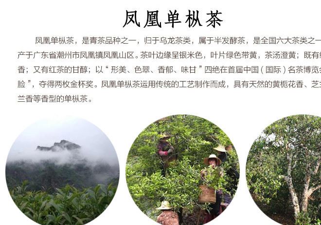 潮州茶叶凤凰单丛茶单从茶凤凰单枞茶 蜜兰香岭头单从茶产地批发