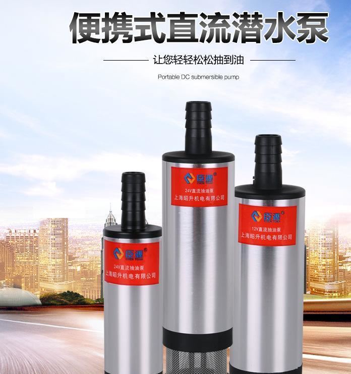 臣源便捷式12V24V直流潜水泵车载抽油泵电动输油小油泵示例图1