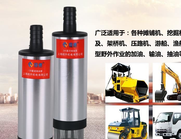 臣源便捷式12V24V直流潜水泵车载抽油泵电动输油小油泵示例图4