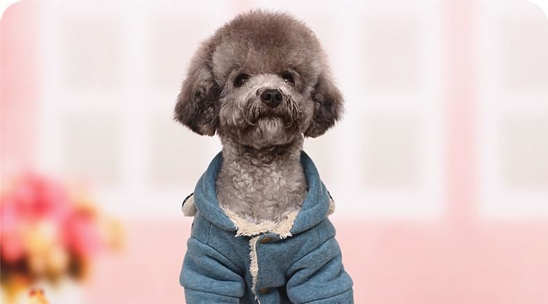 廠家直銷(xiāo)冬裝狗狗衣服四腳衣泰迪寵物衣服 批發(fā)貴賓狗狗用品示例圖4