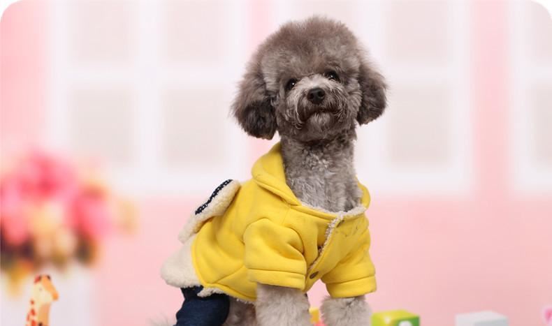 廠家直銷(xiāo)冬裝狗狗衣服四腳衣泰迪寵物衣服 批發(fā)貴賓狗狗用品示例圖17