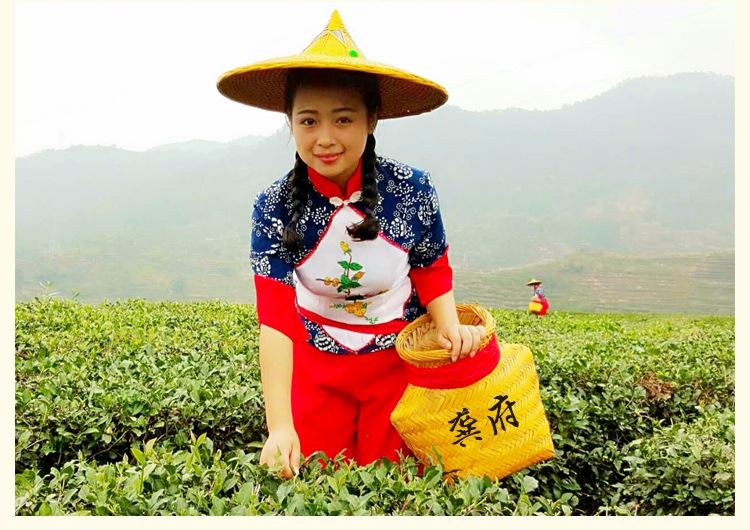 散茶茉莉花茶廠家 茶店散裝花茶進(jìn)貨渠道 廣西散裝花茶貨源批發(fā)示例圖6