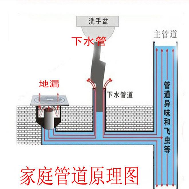 四防地漏內(nèi)芯廠貨批發(fā)低價(jià)送錄音廣告跑江湖地?cái)傂l(wèi)生間防臭閥示例圖1