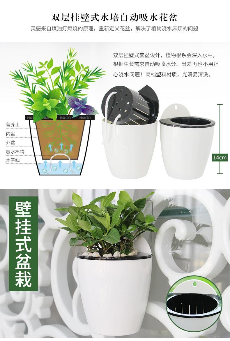 花卉綠植盆栽盆景常春藤梔子花文竹室內(nèi)客廳壁掛綠蘿吊蘭水培植物示例圖2