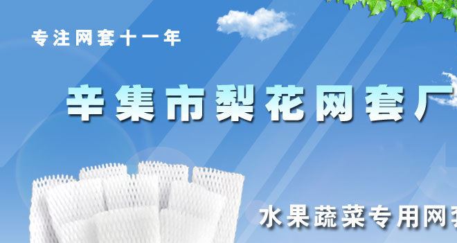 河北省網套廠家 鴿子蛋鴨蛋松花蛋土雞蛋網套 快遞防震保護網套示例圖1
