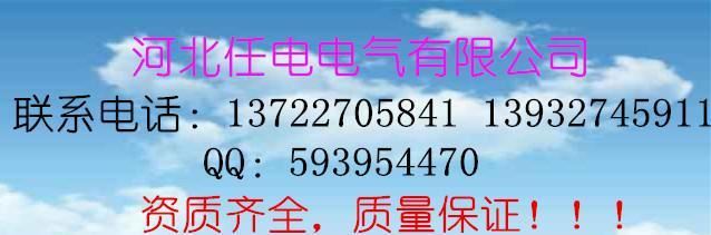 廠家直銷(xiāo) 500KV語(yǔ)音驗(yàn)電器  GSY-500示例圖15