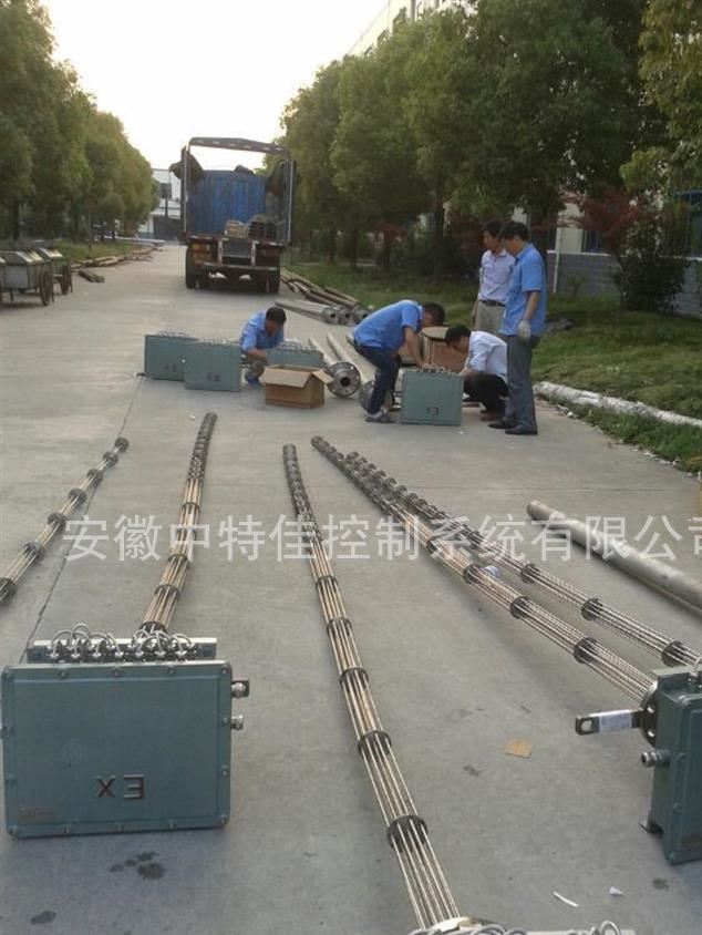 德國高精度元件WZPK-231/431/131鎧裝抗震熱電阻示例圖28