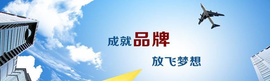 德國高精度元件WZPK-231/431/131鎧裝抗震熱電阻示例圖38