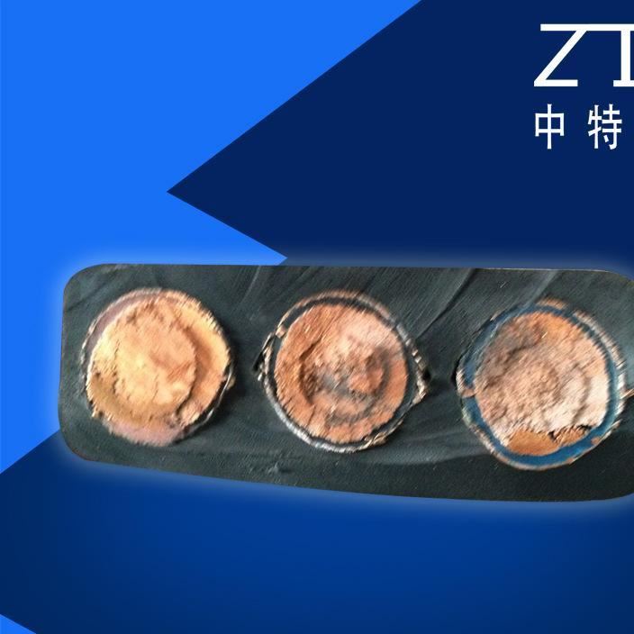 電線電纜DJYVP 電子計算機屏蔽電纜示例圖15