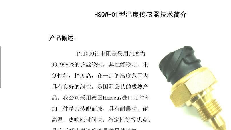 供應福伊特 緩速器 溫度傳感器 熱電阻溫度傳感器 溫度變送器示例圖6
