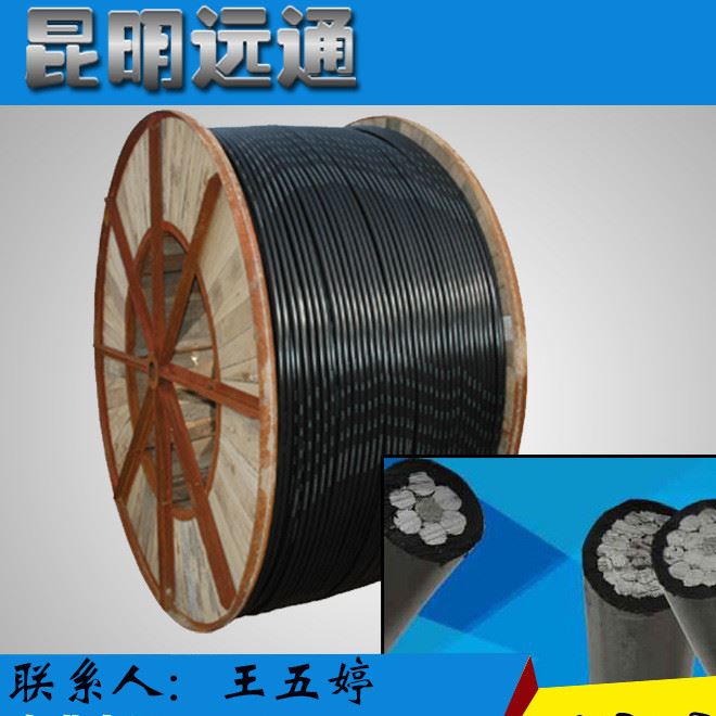 供應(yīng) JKLGYJ -10KV300/40 架空絕緣導(dǎo)線   架空線 鋁絞線示例圖7