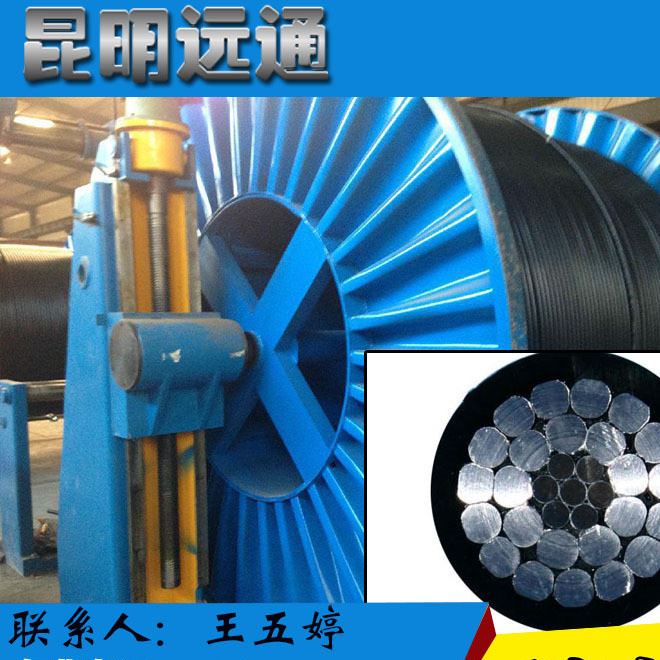 供應(yīng) JKLGYJ -10KV300/40 架空絕緣導(dǎo)線   架空線 鋁絞線示例圖8