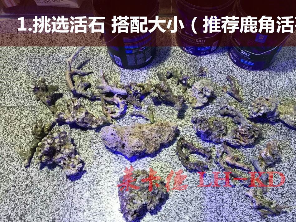 雨林發(fā)泡膠魚缸水族箱造景裝飾水陸造景膠泥魔法膠水族造景石批發(fā)示例圖1