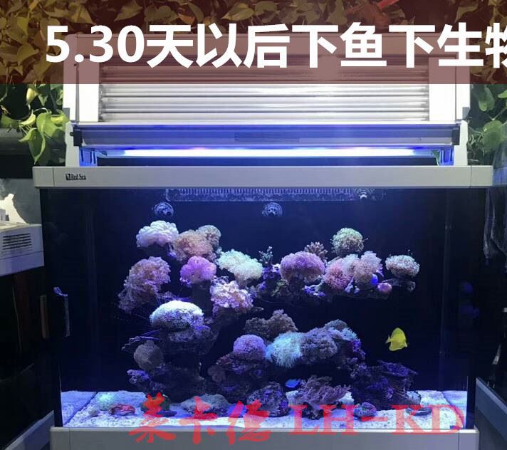 雨林發(fā)泡膠魚缸水族箱造景裝飾水陸造景膠泥魔法膠水族造景石批發(fā)示例圖5