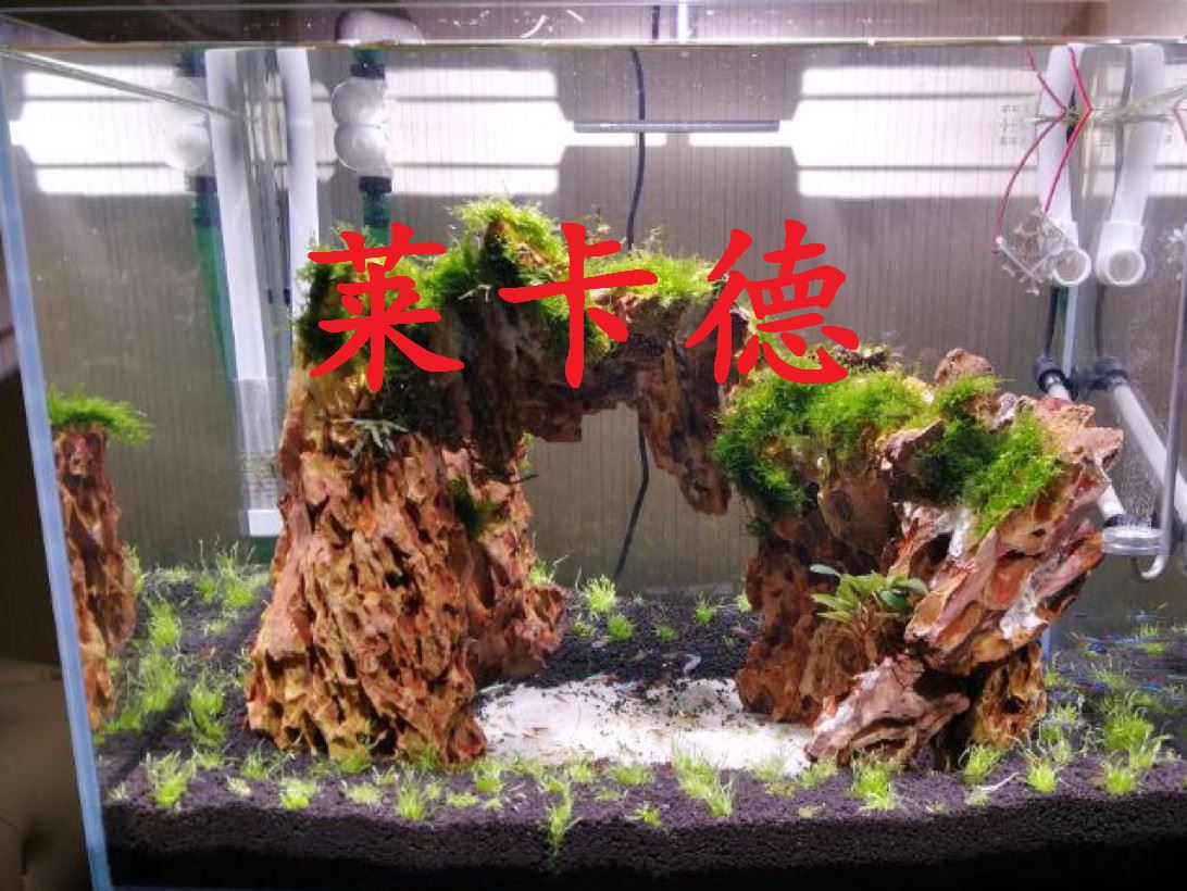 雨林發(fā)泡膠魚缸水族箱造景裝飾水陸造景膠泥魔法膠水族造景石批發(fā)示例圖6