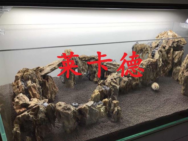 雨林發(fā)泡膠魚缸水族箱造景裝飾水陸造景膠泥魔法膠水族造景石批發(fā)示例圖7