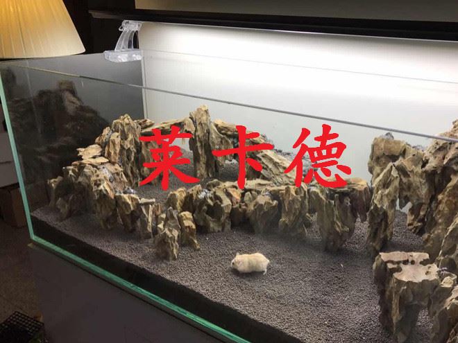 雨林發(fā)泡膠魚缸水族箱造景裝飾水陸造景膠泥魔法膠水族造景石批發(fā)示例圖8