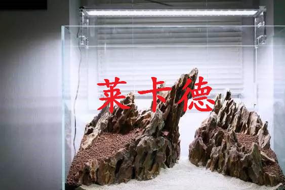 雨林發(fā)泡膠魚缸水族箱造景裝飾水陸造景膠泥魔法膠水族造景石批發(fā)示例圖9