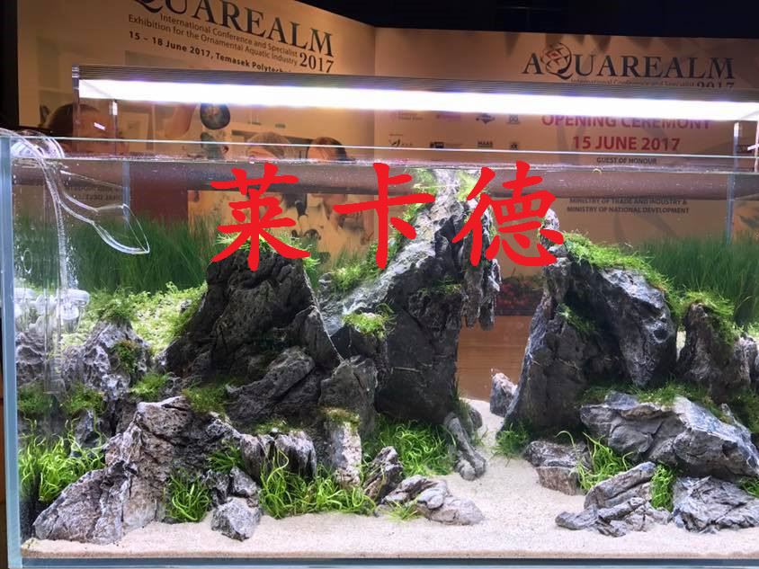 雨林發(fā)泡膠魚缸水族箱造景裝飾水陸造景膠泥魔法膠水族造景石批發(fā)示例圖14