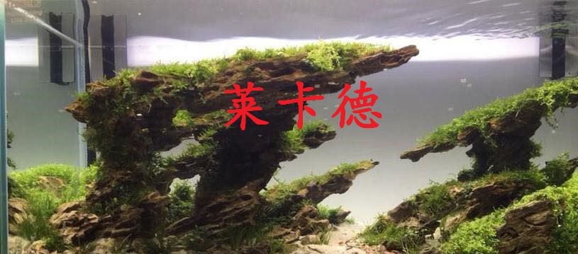 雨林發(fā)泡膠魚缸水族箱造景裝飾水陸造景膠泥魔法膠水族造景石批發(fā)示例圖15