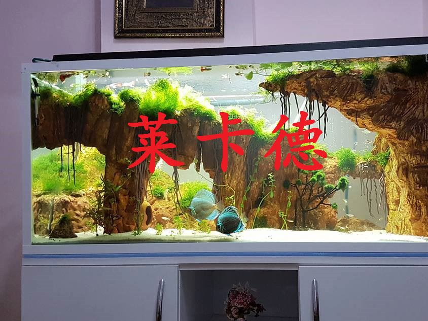 雨林發(fā)泡膠魚缸水族箱造景裝飾水陸造景膠泥魔法膠水族造景石批發(fā)示例圖17