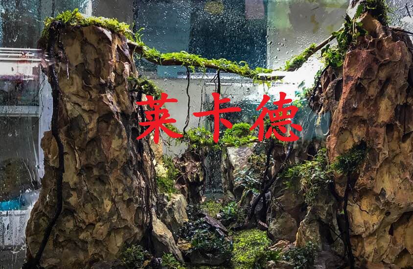 雨林發(fā)泡膠魚缸水族箱造景裝飾水陸造景膠泥魔法膠水族造景石批發(fā)示例圖18