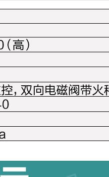 商用環(huán)保雙頭燃?xì)庵竺鏍t湯面爐蒸爐蒸煮爐面火爐烹飪機(jī)示例圖18