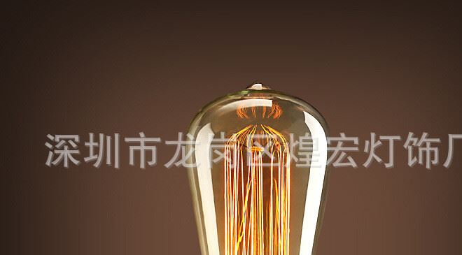 愛(ài)迪生燈泡 創(chuàng)意藝術(shù)裝飾白熾燈鎢絲燈E27螺口個(gè)性復(fù)古電燈泡光源示例圖1
