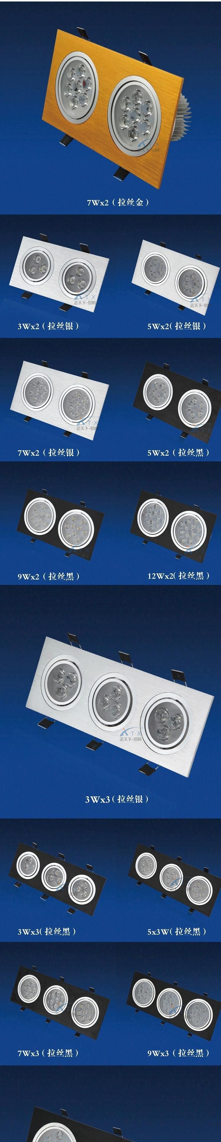 led格柵射燈長(zhǎng)方形三頭雙頭射燈斗膽燈豆膽天花燈5W10瓦15瓦示例圖2