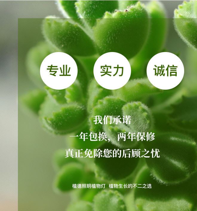 植德夾子植物多肉生長補光燈LED全光譜高亮水草雙頭植物生長燈示例圖3