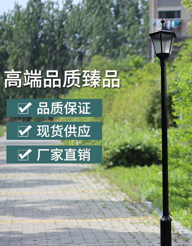 廠家直銷(xiāo)不銹鋼庭院燈 公園景觀燈  別墅小區(qū)花園草坪歐式景觀燈示例圖1