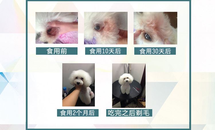 樂皮天然美毛去淚痕犬糧1.5kg泰迪貴賓成幼犬狗糧犬糧批發(fā)包郵示例圖4