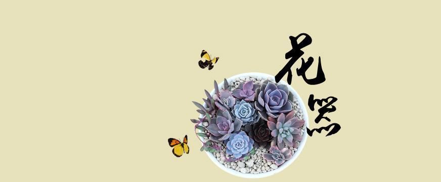 明宇迷你多肉陶瓷桌面斜邊四方型zakka盆栽花盆工廠直供批發(fā)示例圖2