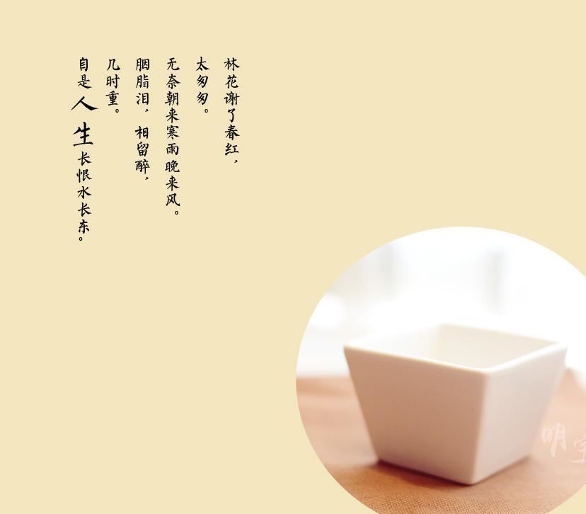 明宇迷你多肉陶瓷桌面斜邊四方型zakka盆栽花盆工廠直供批發(fā)示例圖4