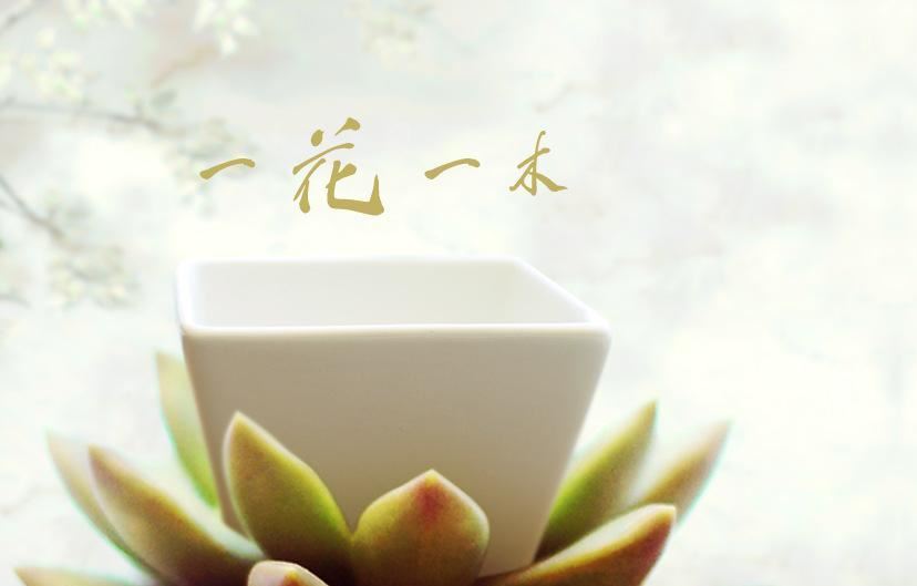 明宇迷你多肉陶瓷桌面斜邊四方型zakka盆栽花盆工廠直供批發(fā)示例圖5