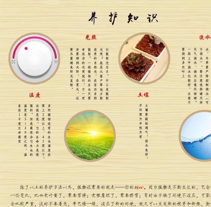 明宇迷你多肉陶瓷桌面斜邊四方型zakka盆栽花盆工廠直供批發(fā)示例圖11