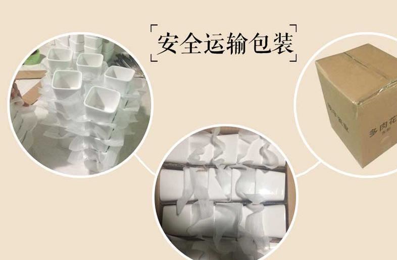 明宇迷你多肉陶瓷桌面斜邊四方型zakka盆栽花盆工廠直供批發(fā)示例圖13