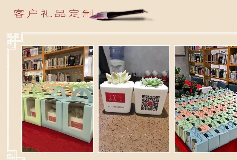 明宇迷你多肉陶瓷桌面斜邊四方型zakka盆栽花盆工廠直供批發(fā)示例圖14