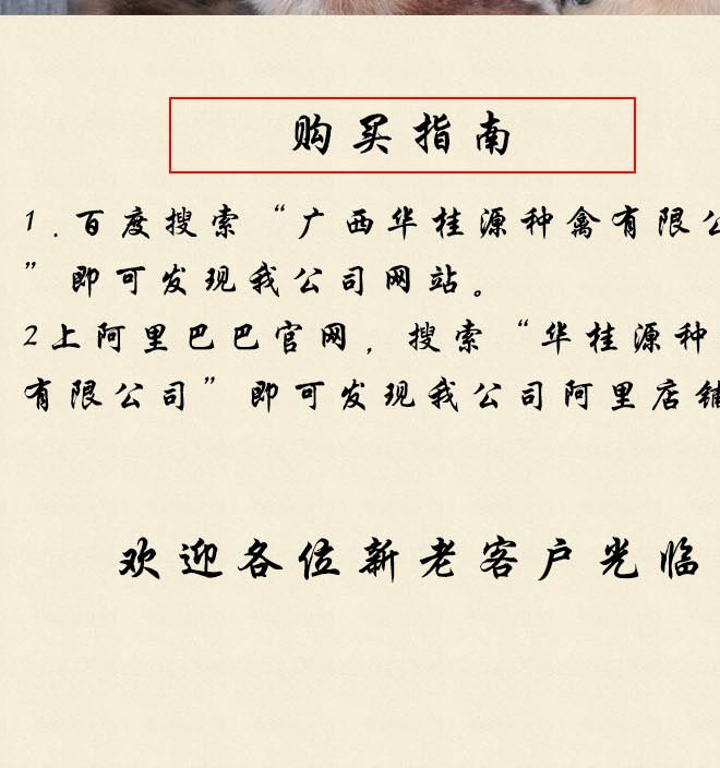 廣西華桂源種禽 大量出售花雞雞苗 馬立克免疫示例圖10