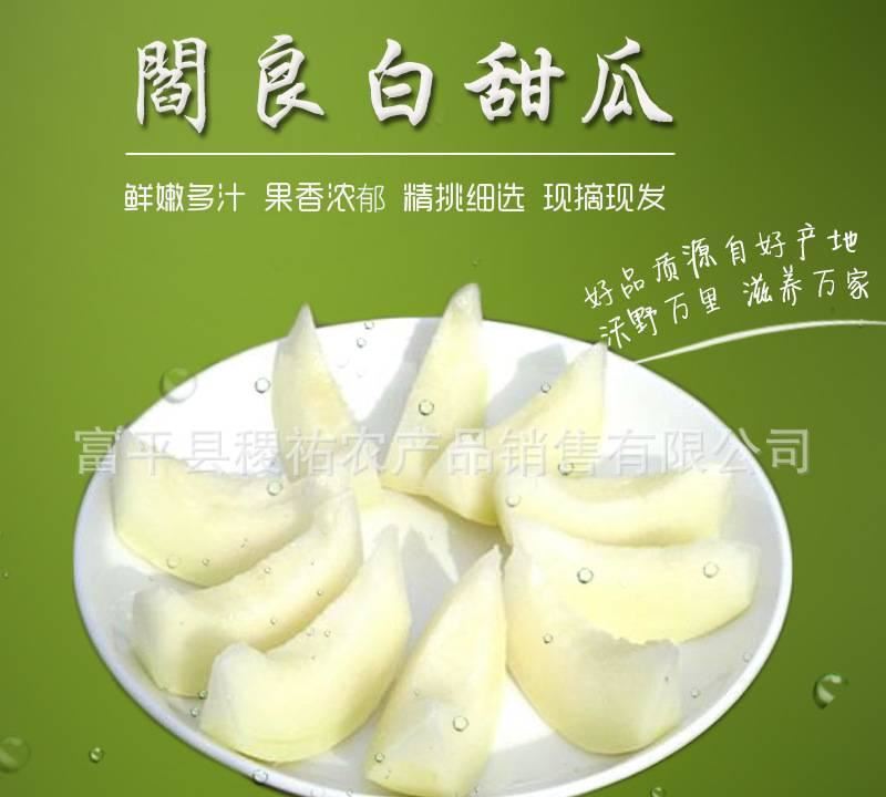 閻良白甜瓜 農(nóng)家新鮮采摘香瓜 陜西閻良特產(chǎn) 瓜果類直銷示例圖6