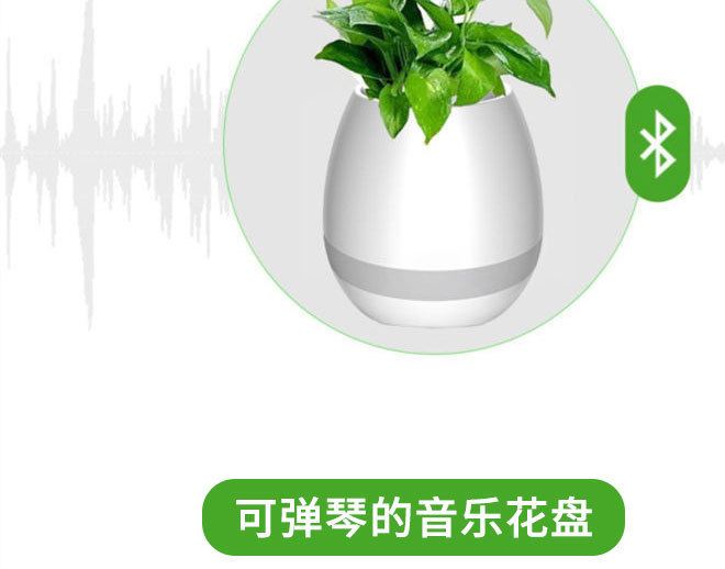 音樂花盆藍(lán)牙智能新款音箱會唱歌的可以彈鋼琴的創(chuàng)意插卡塑料無線示例圖6